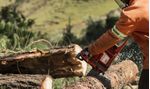 F040774-MOTOSIERRA-61-ESPADA-20-967-0624-20-HUSQVARNA-D